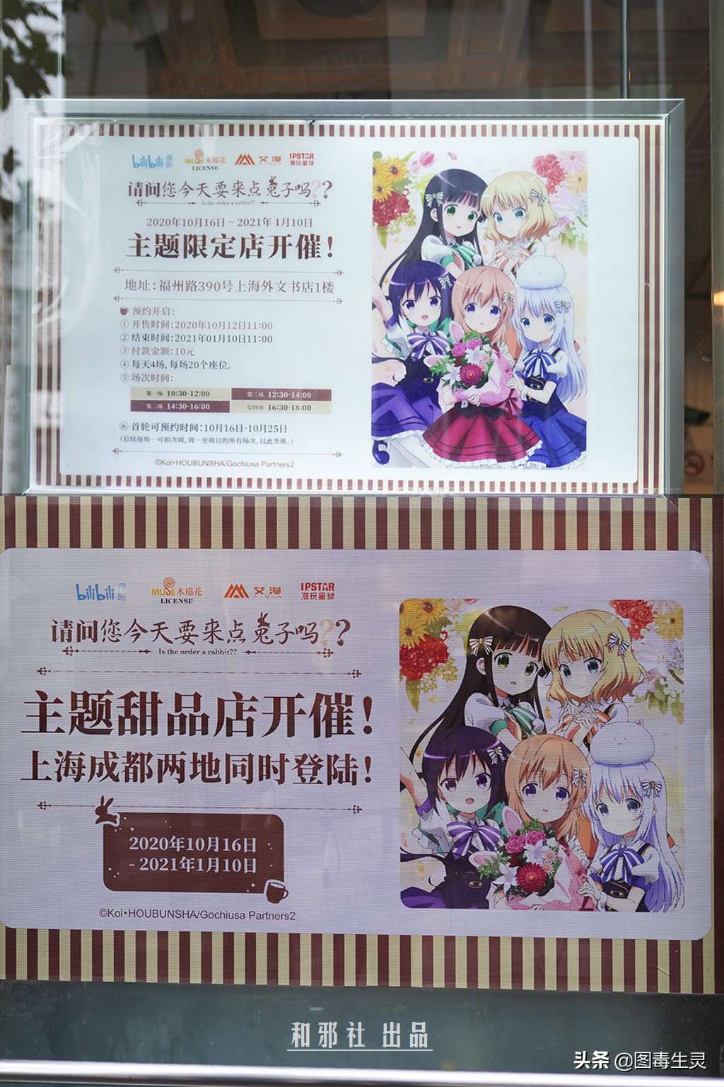 上海外文书店《请问您今天要来点兔子吗？？》主题限定店体验