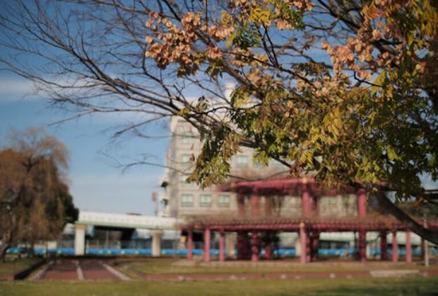 大阪冬季攻略,普通人不知道的日本的冷知识