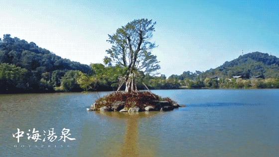 惠州中海汤泉价格最低别墅,惠州中海汤泉全景