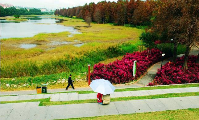 菏泽即将开工的所有超级大市场,菏泽未来发展大城市吗