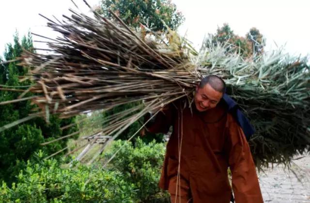农禅并重完整版,农禅并重的寺院