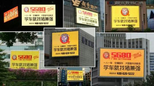 网红猪兼强是真的吗,网红驾校猪坚强广告