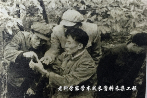 没有经费仍然坚持研究,他揭开了天麻生长的全部奥秘,药农为他立碑塑像