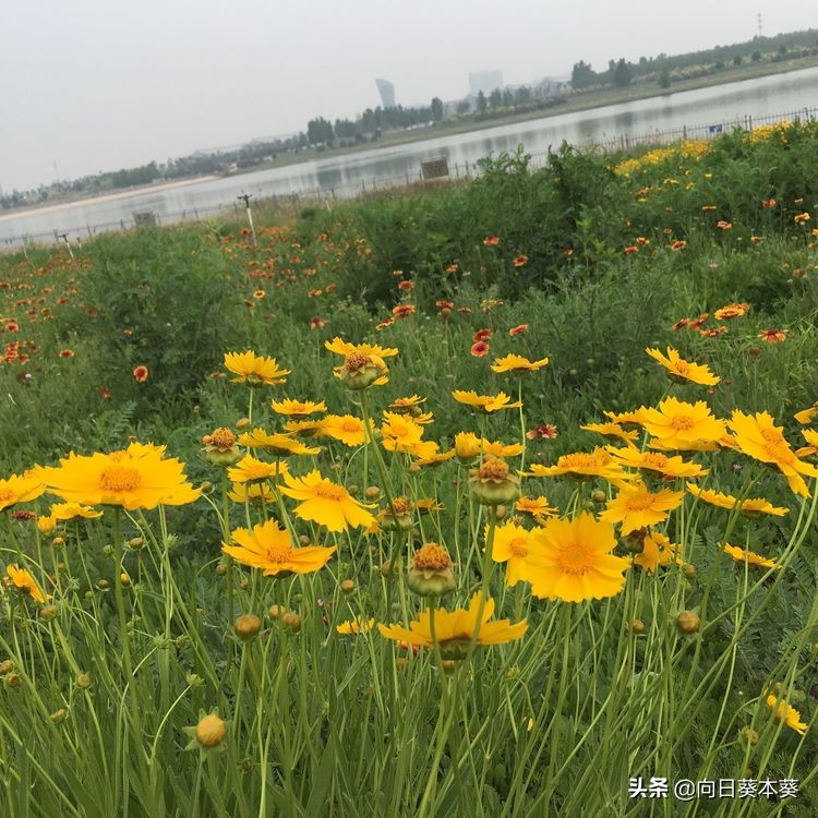 五一石家庄附近旅游攻略,石家庄五一小长假出游攻略