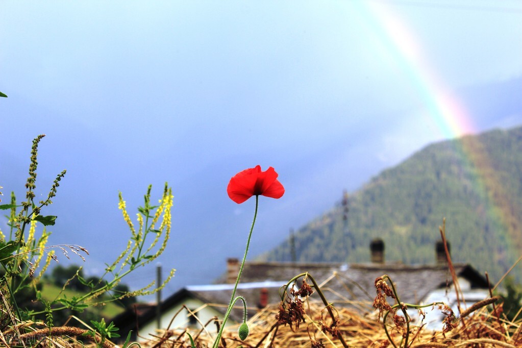 谦卦卦辞,谦卦象辞