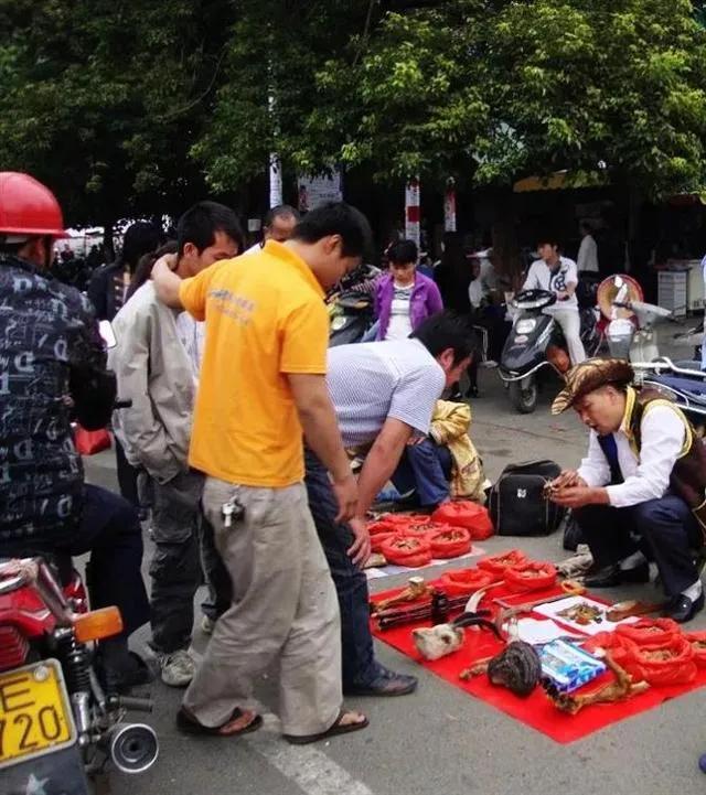 一个人在边境“河口”火车站边，遇假藏民售卖虎鞭、泡制方法