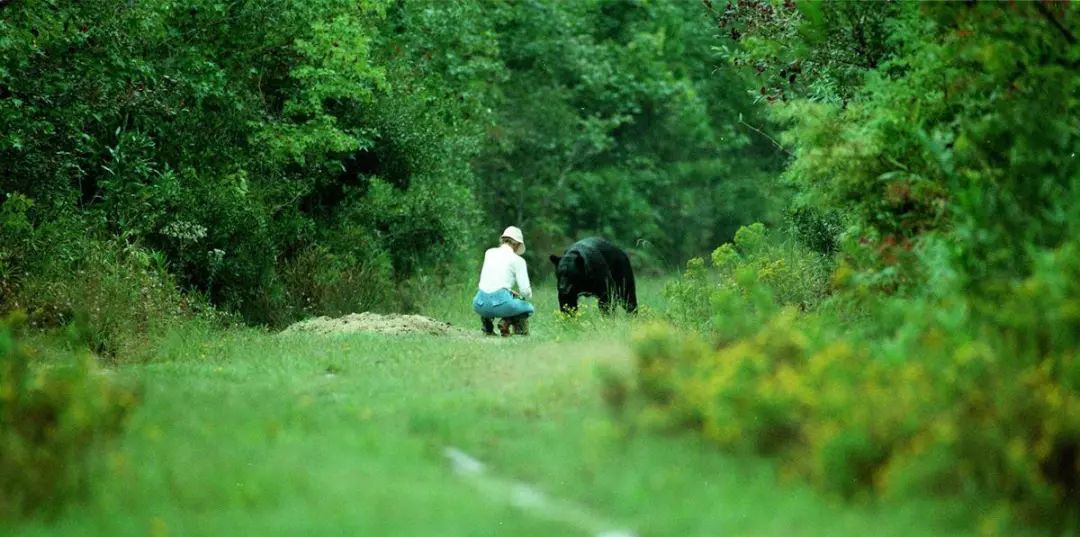 与熊同居28年神秘死亡，美国女人传奇的一生，隐藏着惊人结局