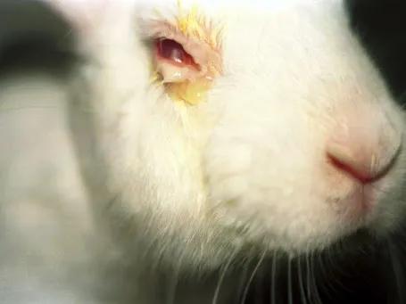 管不住嘴想吃肉？就让肌肤帮你“吃素”吧