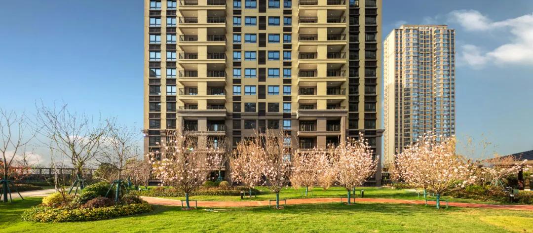 拼*刀刺**，镇江超级潜力板块砸出惊爆价，最高优惠43万