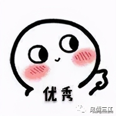 三江金奖茶,中国早春第一茶三江茶