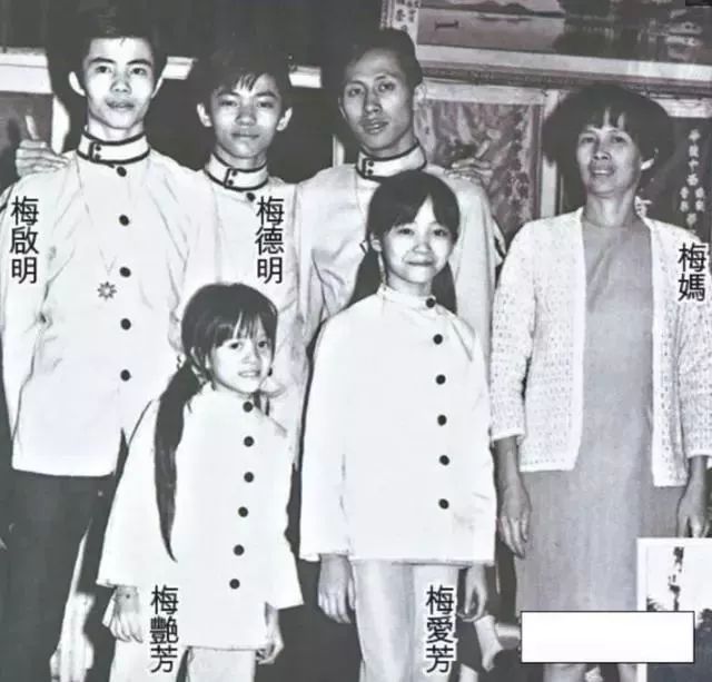 梅艳芳一生有多少孩子,梅艳芳一生爱你千百回