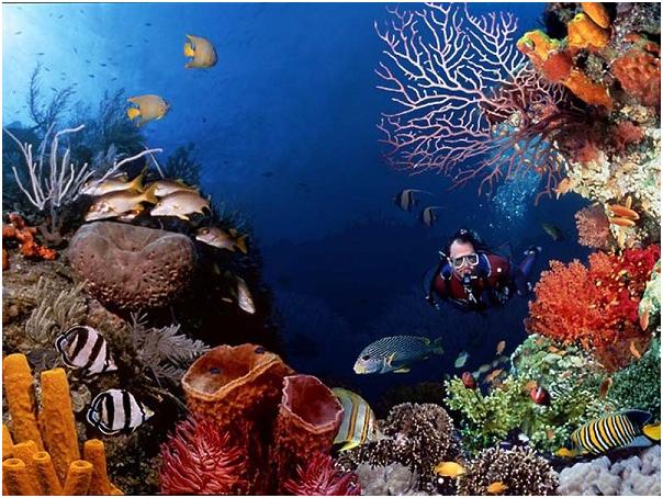 南京钟山风景名胜区门票,南京钟山风景名胜区怎么去玩