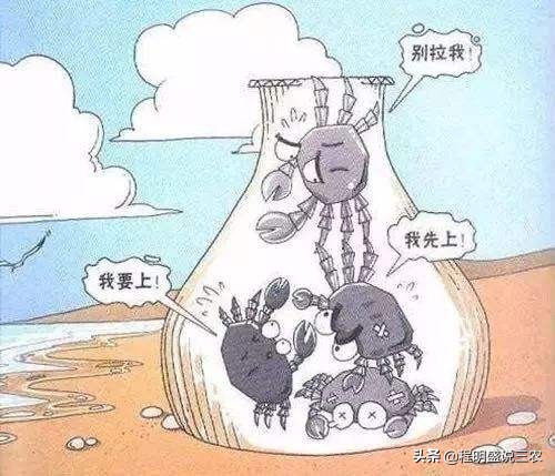 带着螃蟹思维的人,永远走不出底层倾轧
