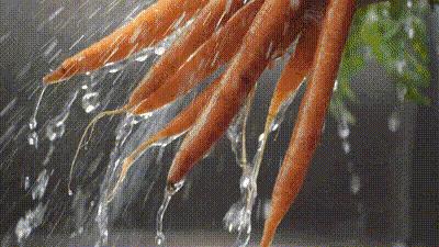 虚假榨汁机,最骗人的榨汁机