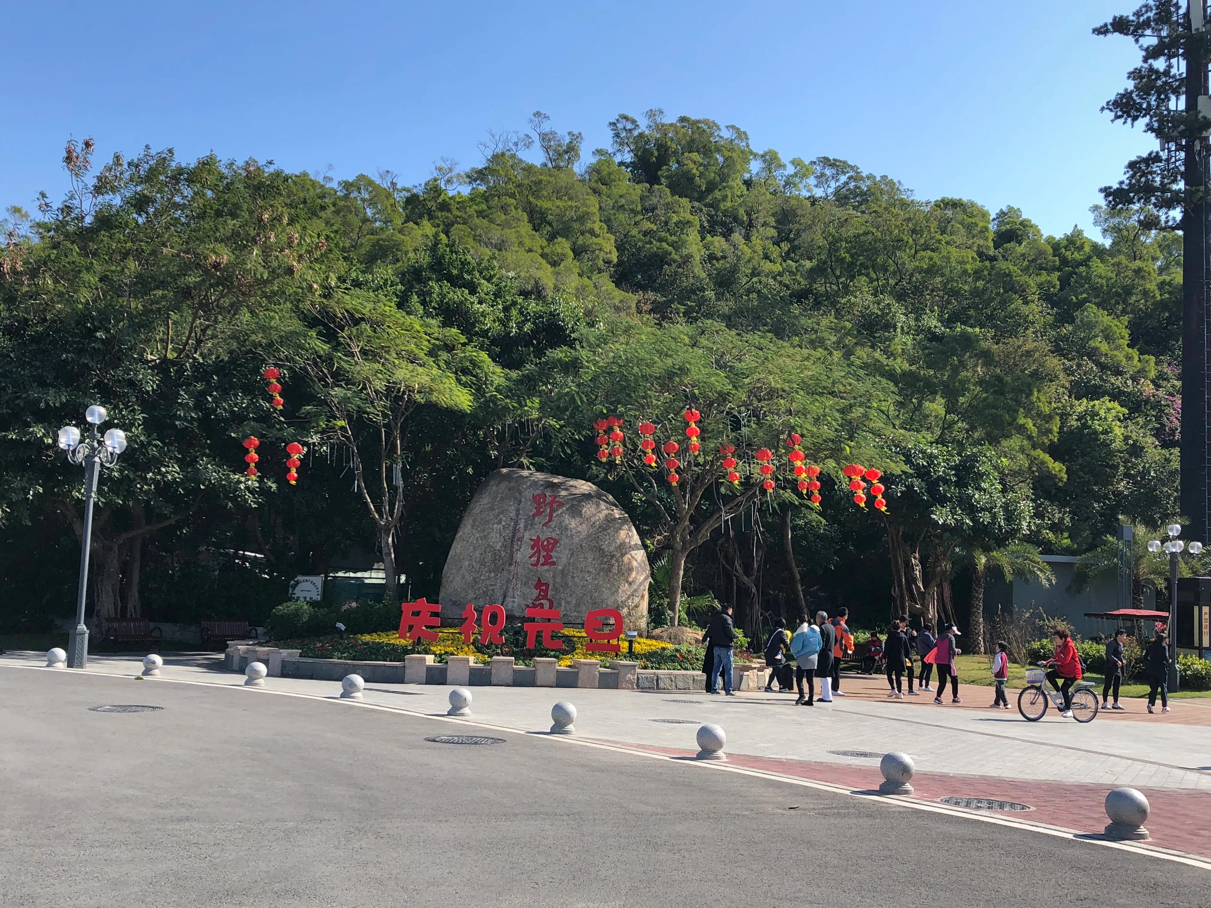 夜游珠海野狸岛风景,春节珠海野狸岛旅游