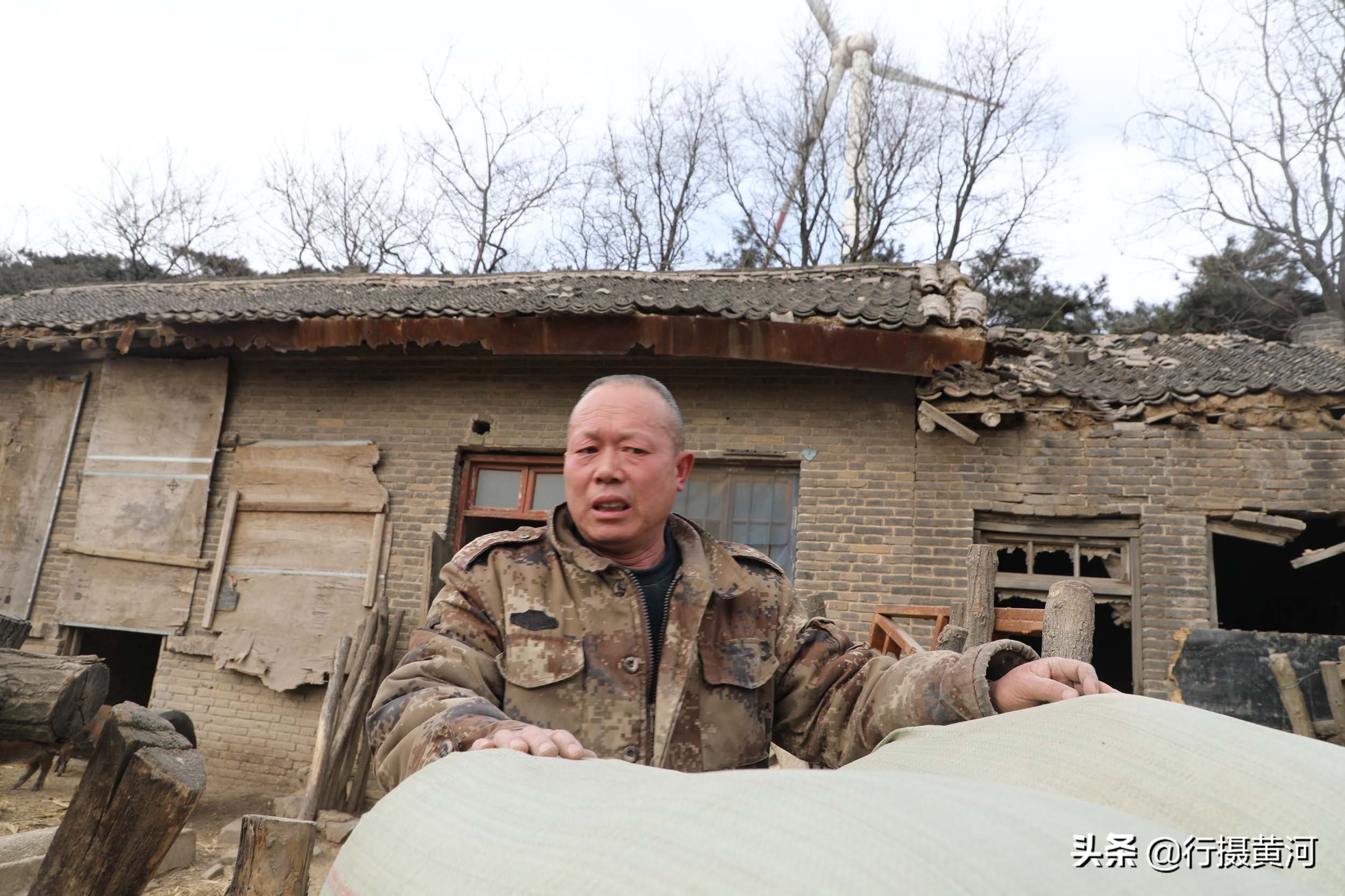 90后夫妻山中搞养殖飞鸡,6旬夫妻深山养牛