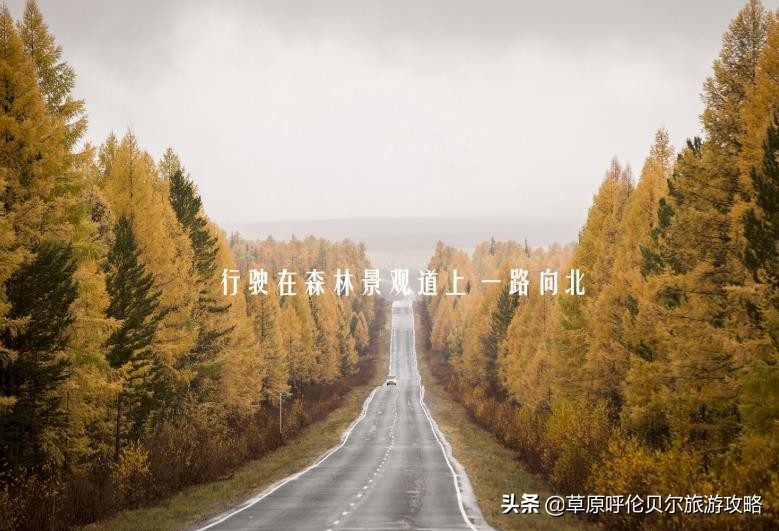 呼伦贝尔根河旅游地图,内蒙古根河旅游攻略