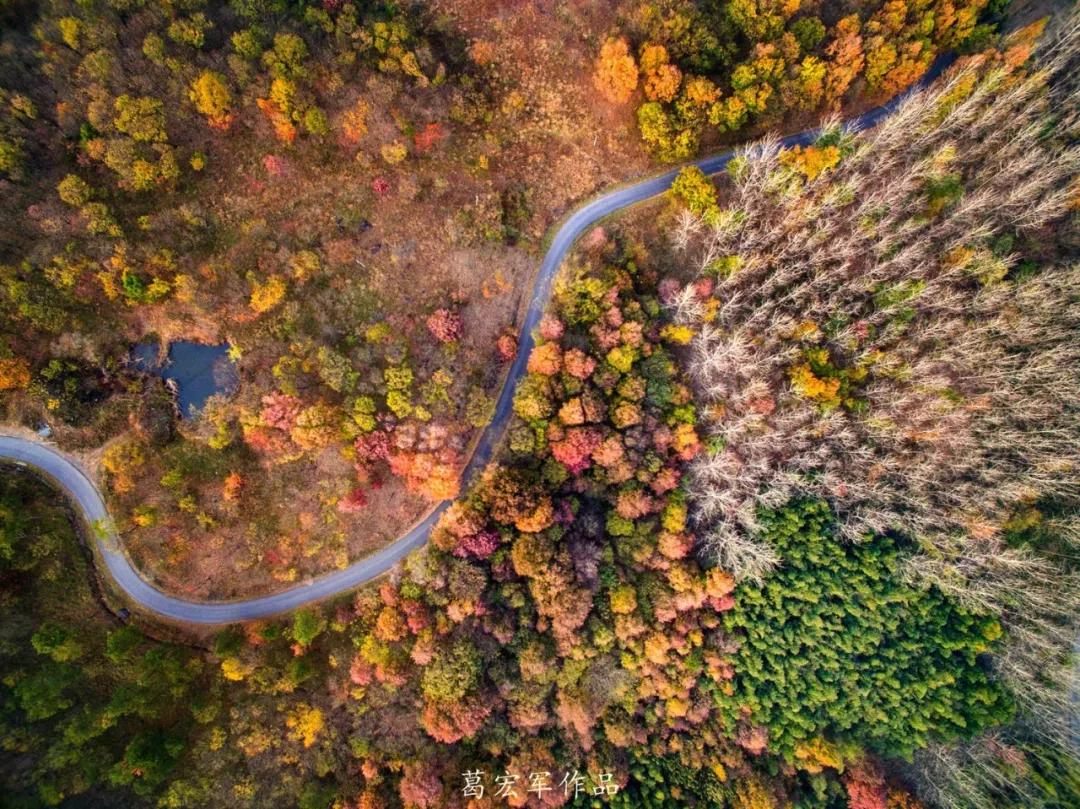 南京是属于哪个省的,南京是现在的哪个城市