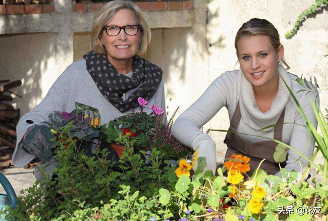 解除花卉药害的特效药,花卉叶片药害多久恢复