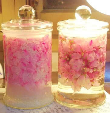 苏州桃花酿米酒,桃花米酒制作方法