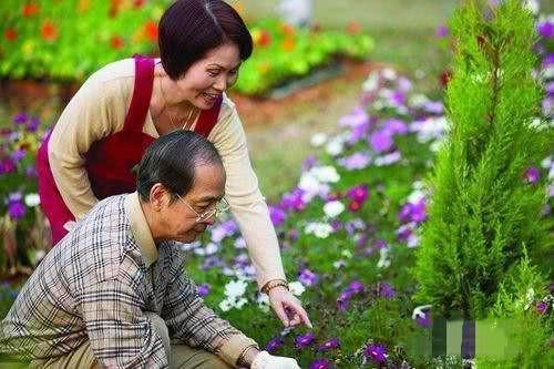 没有孩子的丁克都后悔了吗,第一批丁克后悔原因