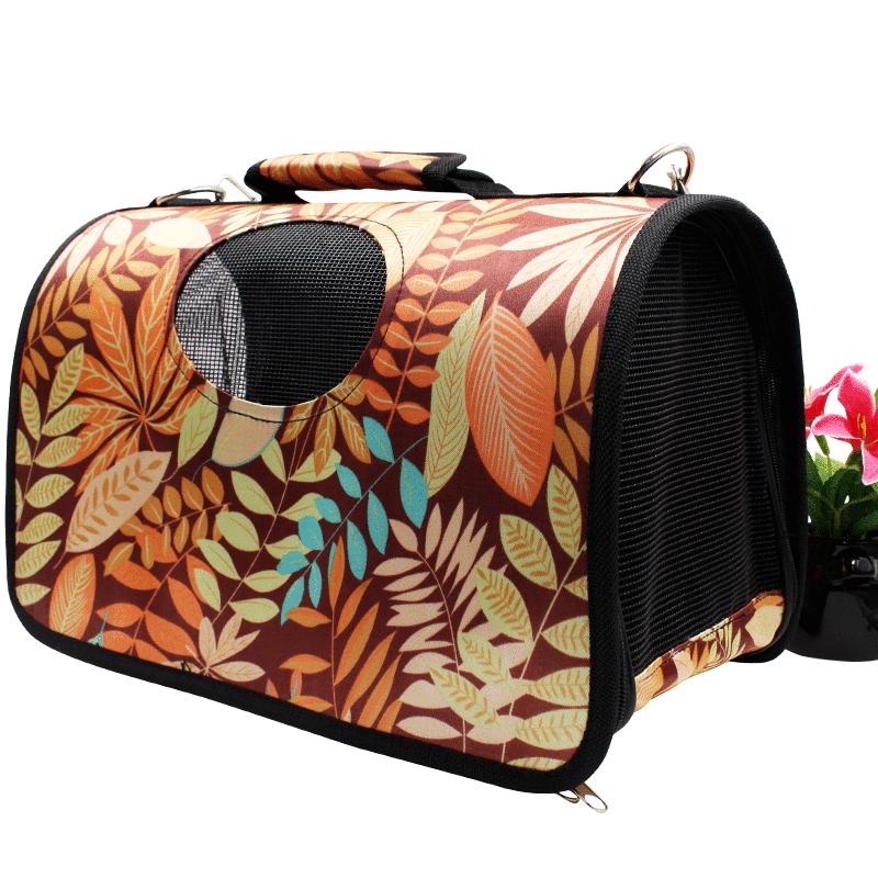 猫咪进猫包训练,如何训练猫咪进猫包