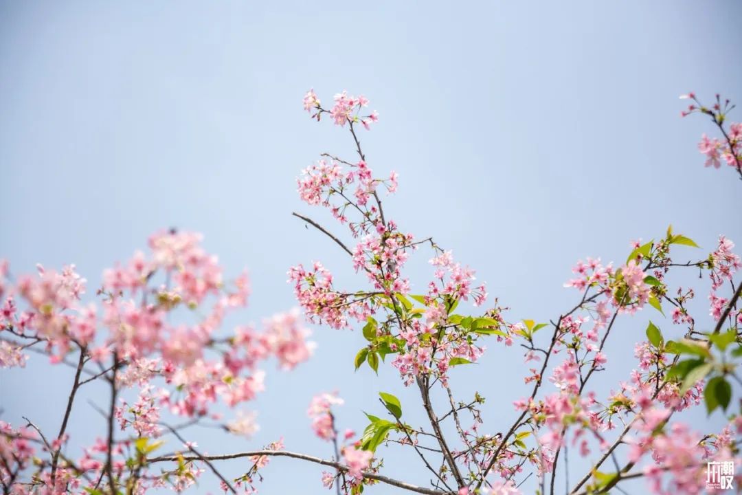 300+万㎡原始森林秘境，天河就有