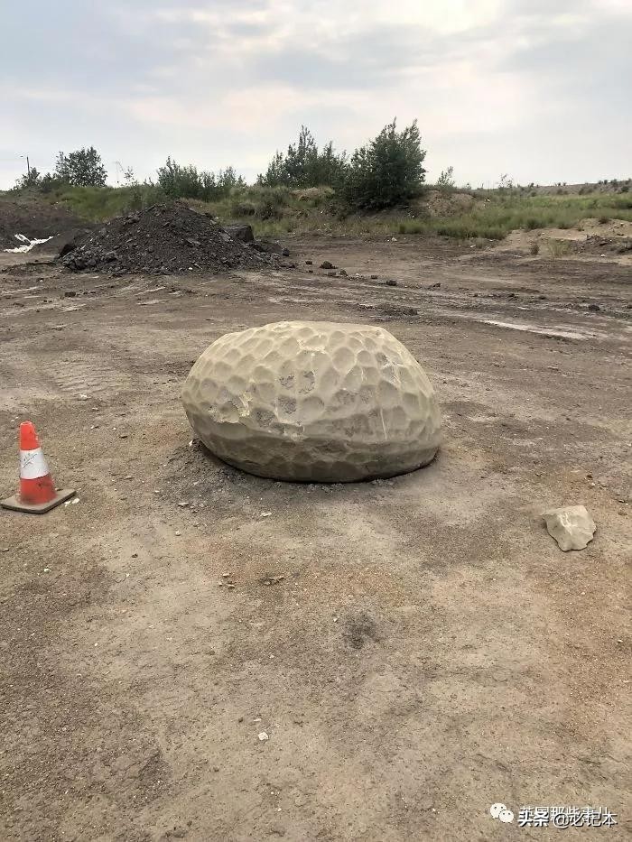 不知道的奇怪小玩意,奇怪古怪的物件