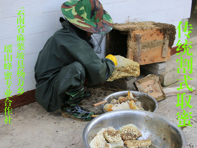 教你怎样买到好蜂蜜生活常识,天然蜂蜜与商品蜂蜜的区别