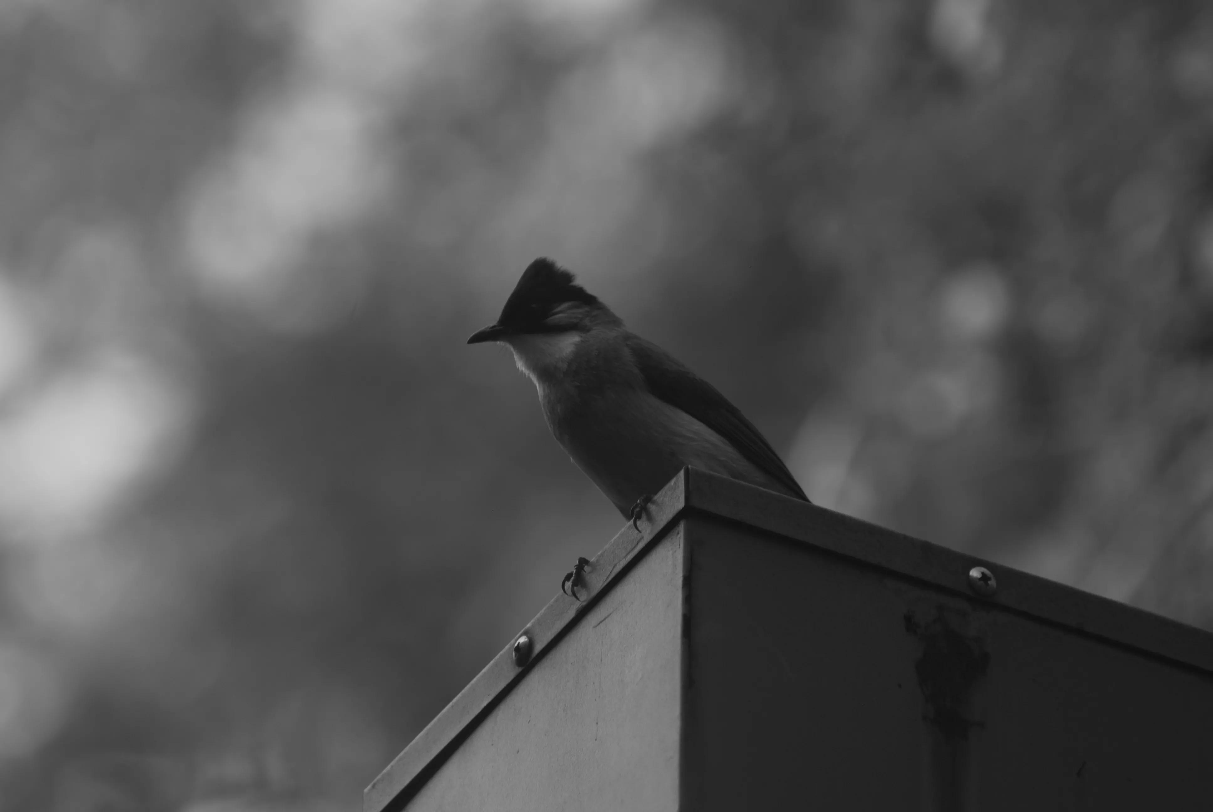 1000元二手全画幅单反相机推荐,2022最建议买的二手单反相机