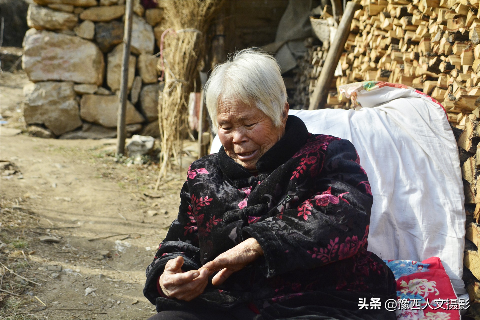 一百多年的老柿树才长这么大,碗口粗无核柿树图片