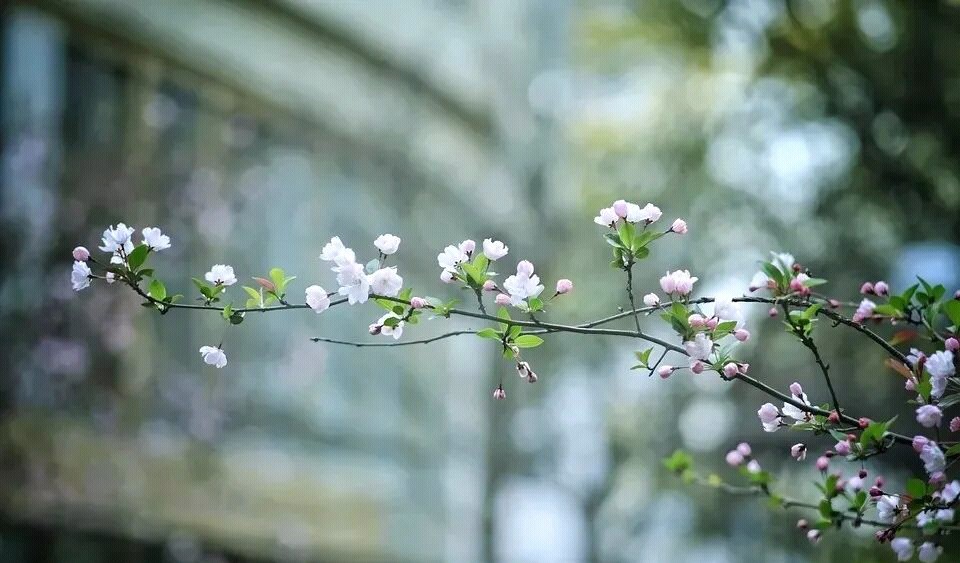 六年级上册优秀满分作文400字以上,中考十篇必看满分作文及段评