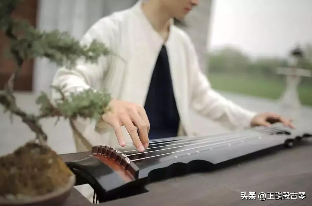 10大步骤古琴学习法助你高效学琴,如何学习古琴的基本指法