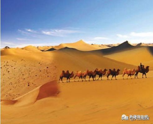 阿拉尔将成为南疆最大的城市,南疆阿拉尔市