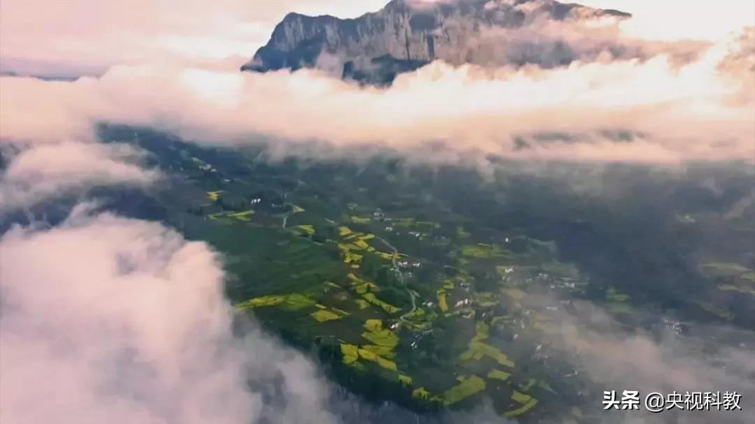 鱼泉洞穴,会冒鱼的山洞是什么