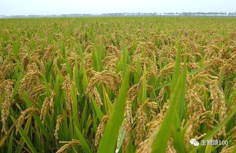 学科教学生物真题,生物教学中各种模型