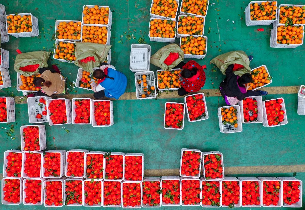 家乡好物直播江西,家乡好物山东卫视直播