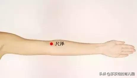 五脏养生的四季规律,五脏与体质养生