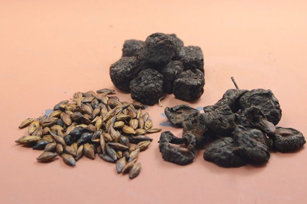 中医治疗老年人便秘怎么调理,便秘像羊粪球中医怎么调理