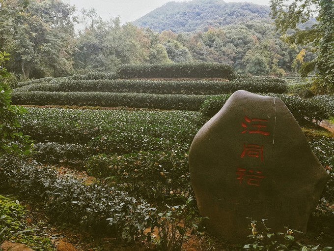 杭州西湖乌镇苏州南京上海攻略,天青色等烟雨乌镇旅游