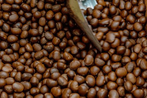 Foodie君亲测，专注19年现炒栗子的粒上皇，名不虚传！