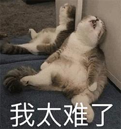 word的页眉上有条横线怎么删掉,officeword页眉横线怎么删