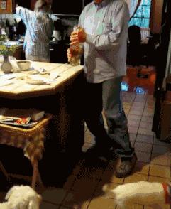 搞笑gif永远不要相信任何人,朋友圈gif背景搞笑