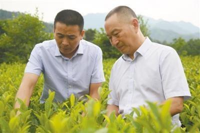 杨凌农业智慧园在哪,杨凌农科智慧