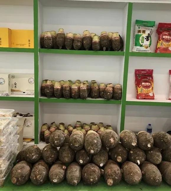 合肥农交会2023,合肥农交会的东西怎么样