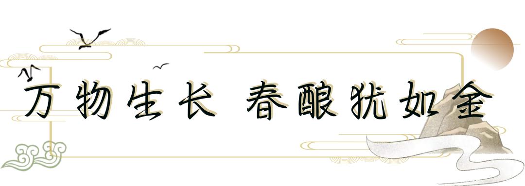 一杯美酒醉春风,一杯醇酿醉春风全文