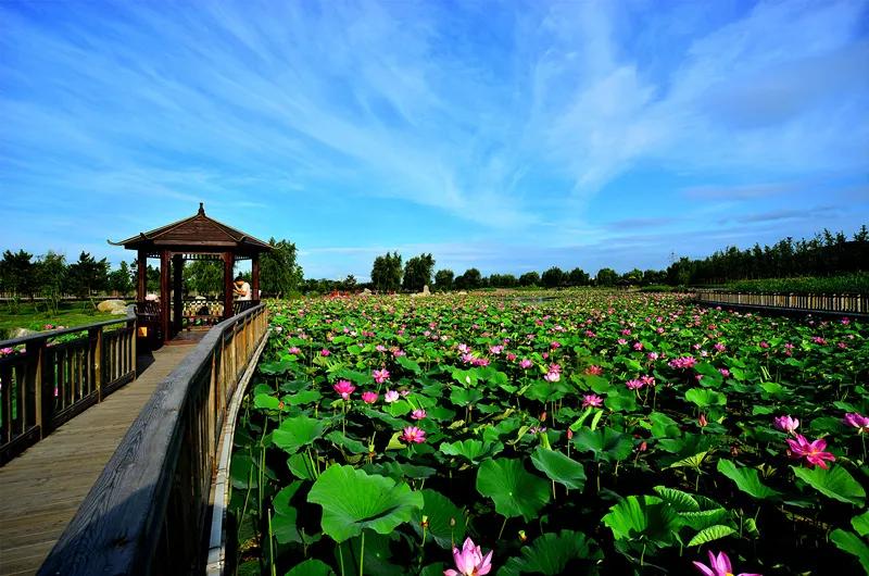 花园洋房玖御壹品,桂花园洋房一楼带院