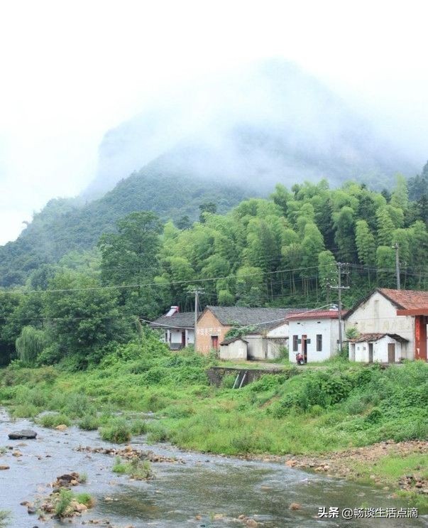 夏天庭院怎么驱除蚊子,夏天小院防蚊子妙招