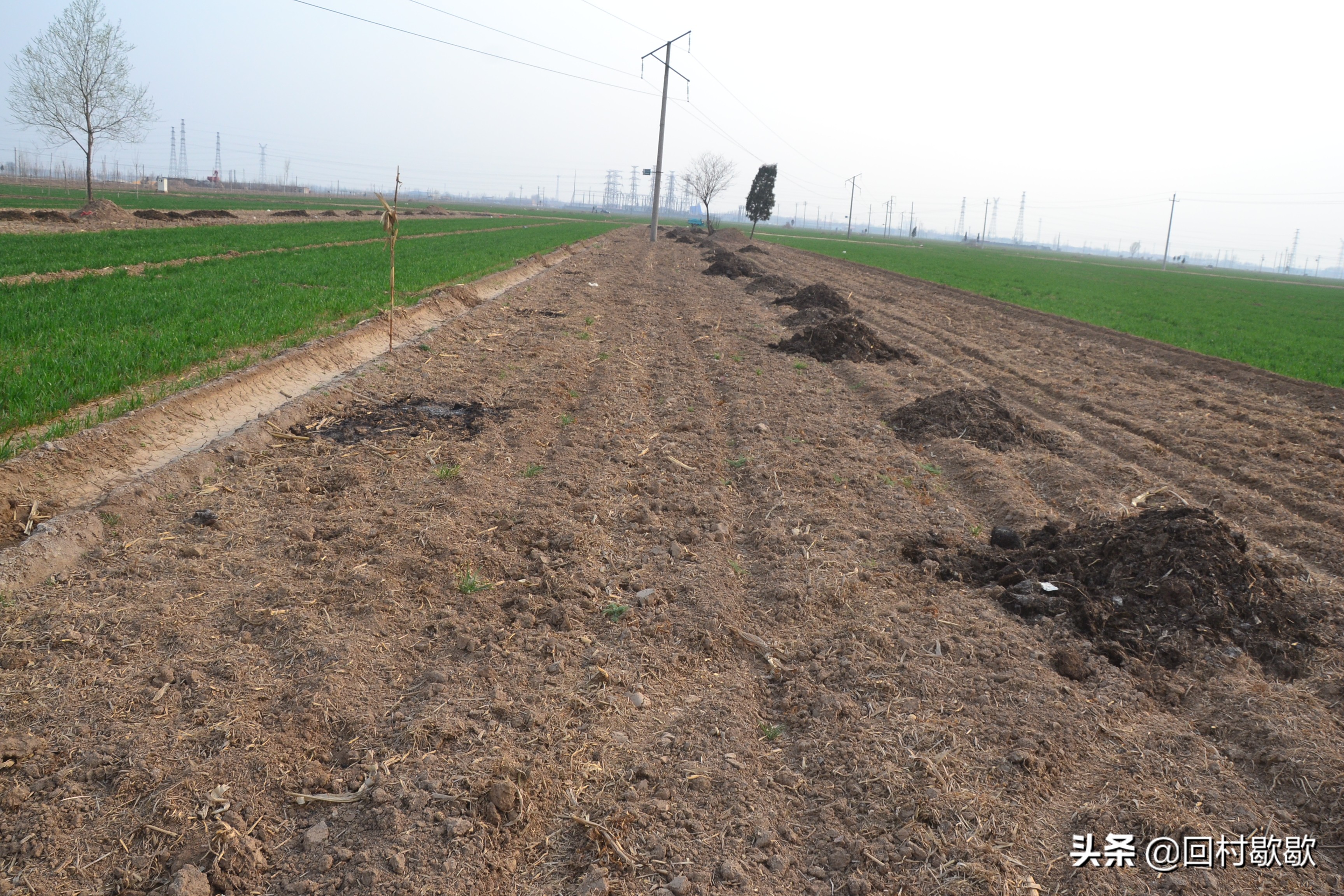 是谁让手握锄头的农民怕这怕那，说起种地都胆小谨慎？别再忽悠了