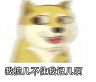 zara麋鹿包真假对比,zara经典配饰